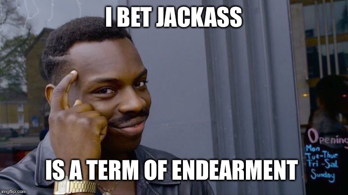 Roll Safe Think About It Meme | I BET JACKASS IS A TERM OF ENDEARMENT | image tagged in memes,roll safe think about it | made w/ Imgflip meme maker