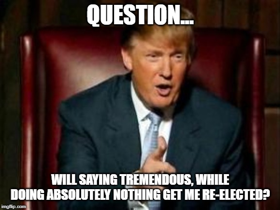 Donald Trump | QUESTION... WILL SAYING TREMENDOUS, WHILE DOING ABSOLUTELY NOTHING GET ME RE-ELECTED? | image tagged in donald trump,memes,political meme | made w/ Imgflip meme maker
