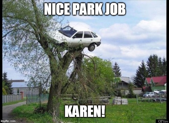 Secure Parking Meme | NICE PARK JOB; KAREN! | image tagged in memes,secure parking | made w/ Imgflip meme maker