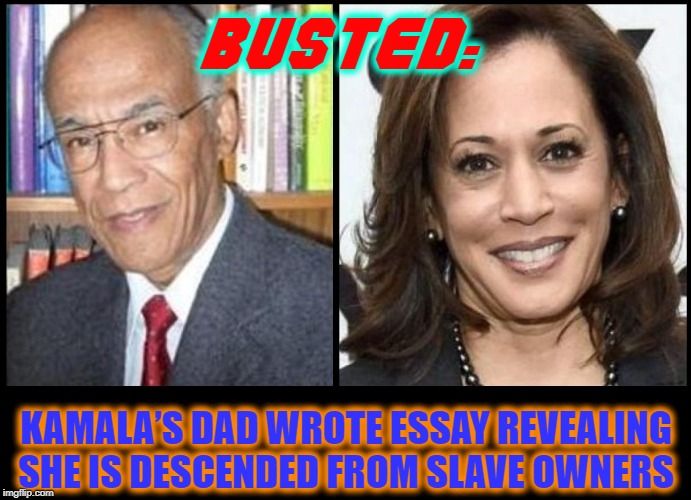 Time to Cough Up Reparations, Kamal Toad | BUSTED:; KAMALA’S DAD WROTE ESSAY REVEALING SHE IS DESCENDED FROM SLAVE OWNERS | image tagged in vince vance,kamala harris,slave owner,reparations,mayor willie brown,donald harris | made w/ Imgflip meme maker