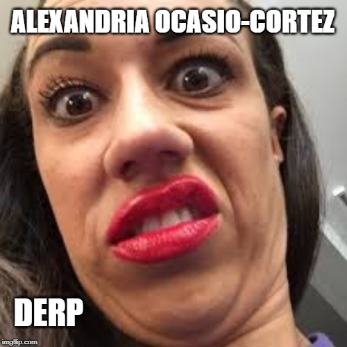 Miranda sings | ALEXANDRIA OCASIO-CORTEZ; DERP | image tagged in miranda sings,derp,totally looks like,politics lol | made w/ Imgflip meme maker