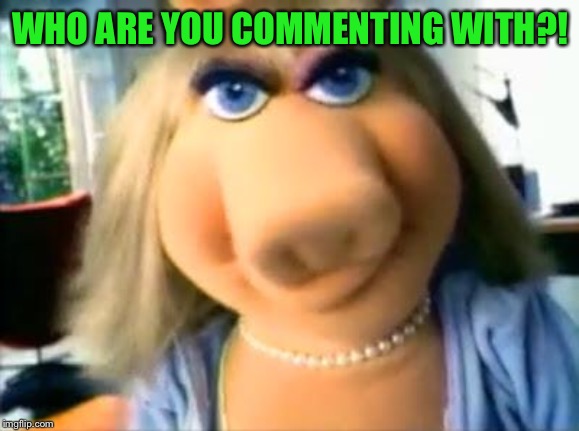 Mad Miss Piggy | WHO ARE YOU COMMENTING WITH?! | image tagged in mad miss piggy | made w/ Imgflip meme maker