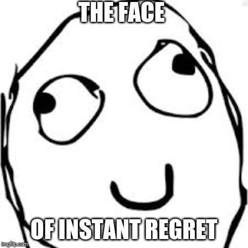 Derp |  THE FACE; OF INSTANT REGRET | image tagged in memes,derp | made w/ Imgflip meme maker