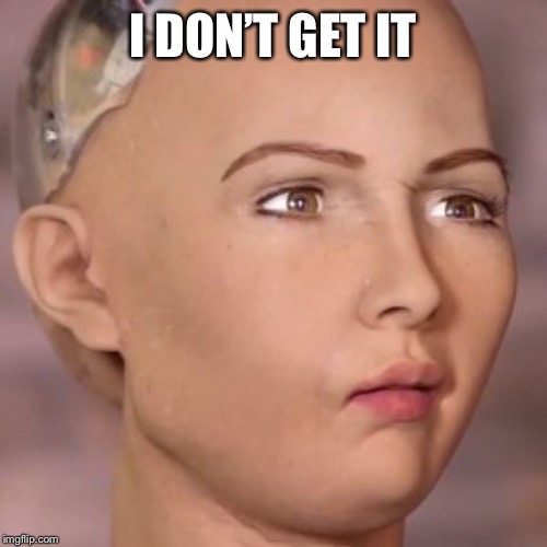 AI robot lady weird face | I DON’T GET IT | image tagged in ai robot lady weird face | made w/ Imgflip meme maker