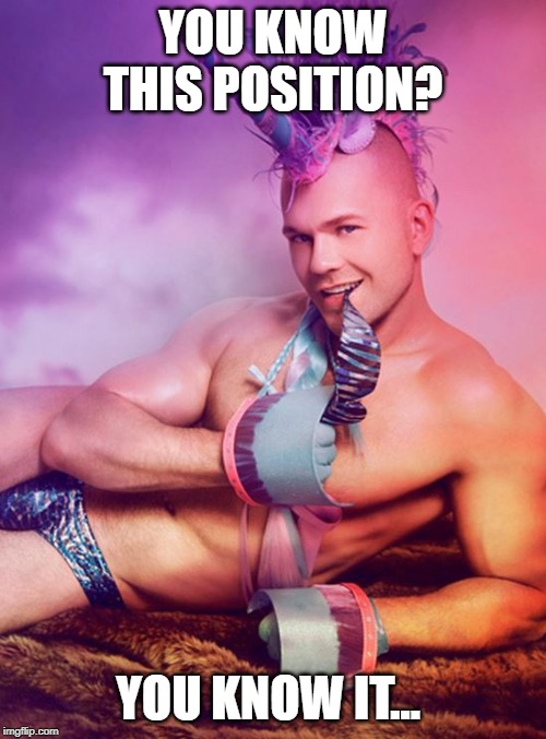 Sexy Gay Unicorn | YOU KNOW THIS POSITION? YOU KNOW IT... | image tagged in sexy gay unicorn | made w/ Imgflip meme maker