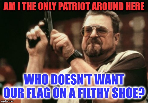 Am I The Only One Around Here Meme | AM I THE ONLY PATRIOT AROUND HERE; WHO DOESN'T WANT OUR FLAG ON A FILTHY SHOE? | image tagged in memes,am i the only one around here | made w/ Imgflip meme maker