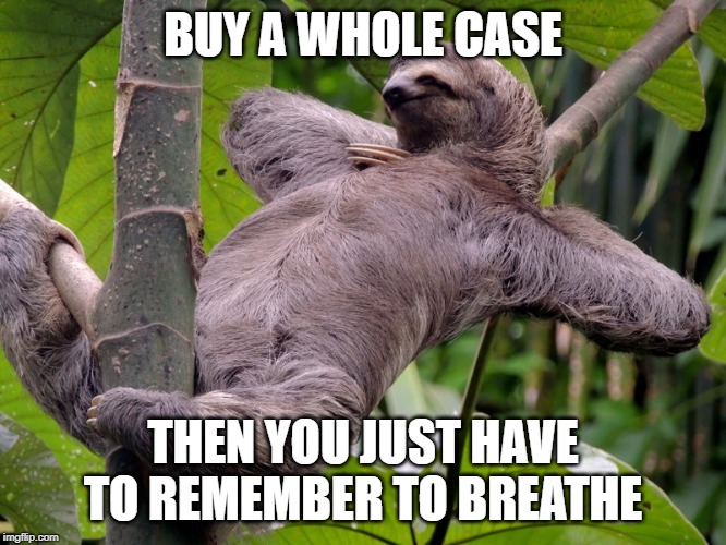 Lazy Sloth | BUY A WHOLE CASE THEN YOU JUST HAVE TO REMEMBER TO BREATHE | image tagged in lazy sloth | made w/ Imgflip meme maker