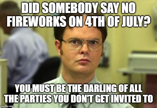 There's not having fun and there's forcing everybody else to not have fun | DID SOMEBODY SAY NO FIREWORKS ON 4TH OF JULY? YOU MUST BE THE DARLING OF ALL THE PARTIES YOU DON'T GET INVITED TO | image tagged in memes,dwight schrute,fireworks,4th of july | made w/ Imgflip meme maker