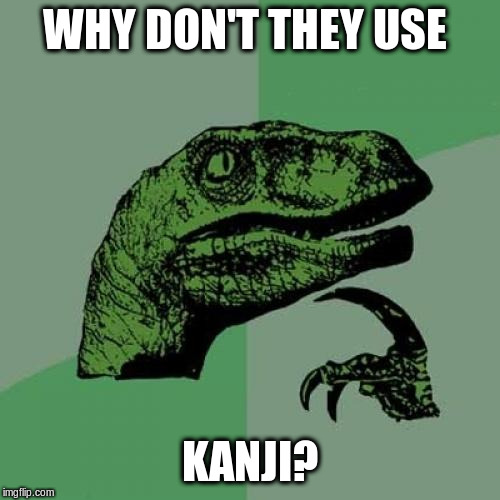 Philosoraptor Meme | WHY DON'T THEY USE KANJI? | image tagged in memes,philosoraptor | made w/ Imgflip meme maker