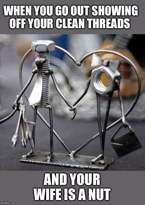Made for each other | WHEN YOU GO OUT SHOWING OFF YOUR CLEAN THREADS; AND YOUR WIFE IS A NUT | image tagged in bolt,nut,marriage,2 genders,art,sculpture | made w/ Imgflip meme maker