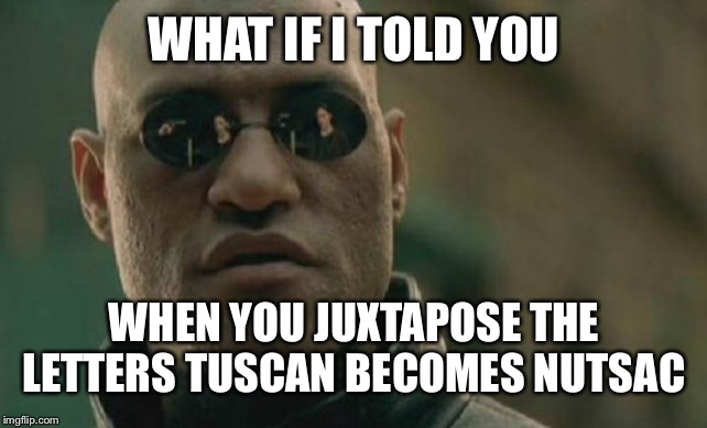 Matrix Morpheus Meme | WHAT IF I TOLD YOU; WHEN YOU JUXTAPOSE THE LETTERS TUSCAN BECOMES NUTSAC | image tagged in memes,matrix morpheus | made w/ Imgflip meme maker