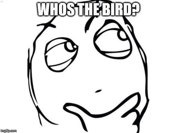 Question Rage Face Meme | WHOS THE BIRD? | image tagged in memes,question rage face | made w/ Imgflip meme maker