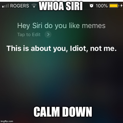 Siri can’t chill out. | WHOA SIRI; CALM DOWN | image tagged in software,siri | made w/ Imgflip meme maker