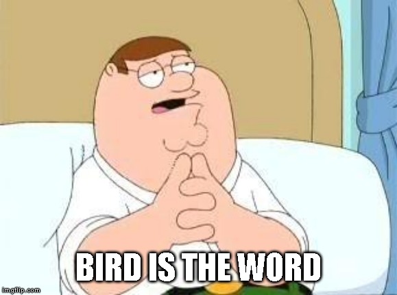 peter griffin go on | BIRD IS THE WORD | image tagged in peter griffin go on | made w/ Imgflip meme maker