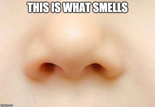 THIS IS WHAT SMELLS | made w/ Imgflip meme maker