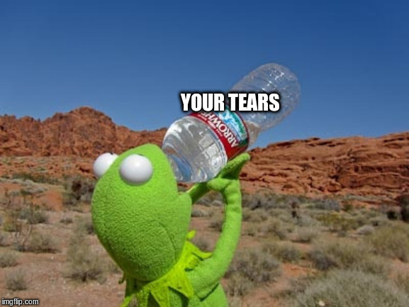 Kermit drinking water  | YOUR TEARS | image tagged in kermit drinking water | made w/ Imgflip meme maker