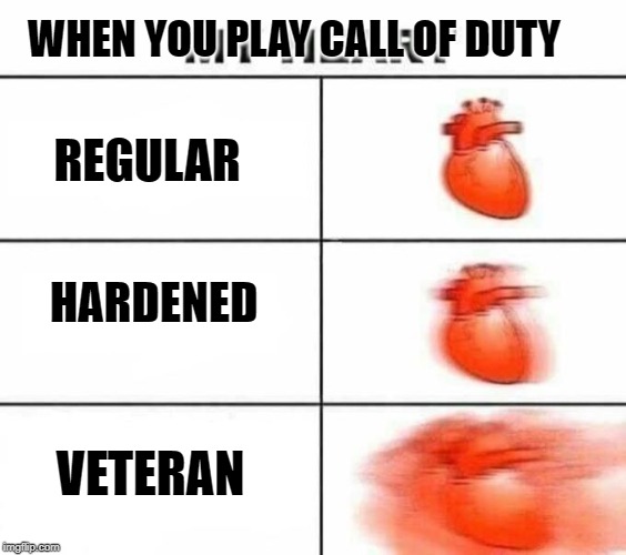 My heart blank | WHEN YOU PLAY CALL OF DUTY; REGULAR; HARDENED; VETERAN | image tagged in my heart blank | made w/ Imgflip meme maker