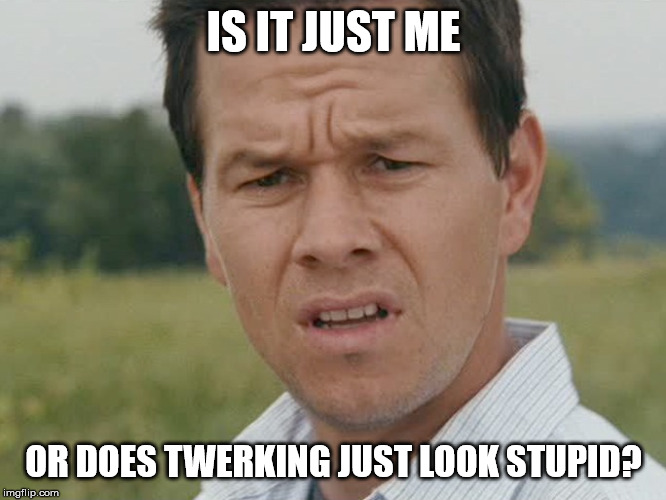 Huh  | IS IT JUST ME; OR DOES TWERKING JUST LOOK STUPID? | image tagged in huh | made w/ Imgflip meme maker