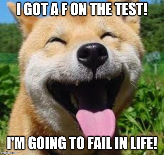 Happy Doge | I GOT A F ON THE TEST! I'M GOING TO FAIL IN LIFE! | image tagged in happy doge | made w/ Imgflip meme maker
