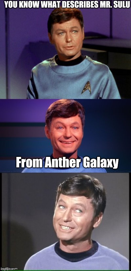 From Anther Galaxy bad joke McCoy | YOU KNOW WHAT DESCRIBES MR. SULU; From Anther Galaxy | image tagged in bad pun mccoy | made w/ Imgflip meme maker