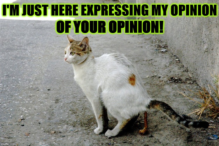 MY OPINION | I'M JUST HERE EXPRESSING MY OPINION; OF YOUR OPINION! | image tagged in my opinion | made w/ Imgflip meme maker