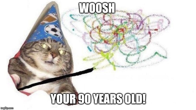 Wizard Cat | WOOSH; YOUR 90 YEARS OLD! | image tagged in wizard cat | made w/ Imgflip meme maker