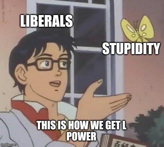 Is This A Pigeon | LIBERALS; STUPIDITY; THIS IS HOW WE GET L
POWER | image tagged in memes,is this a pigeon | made w/ Imgflip meme maker