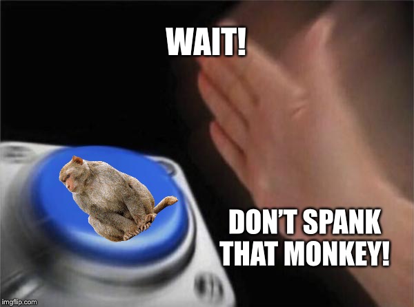 Blank Nut Button | WAIT! DON’T SPANK THAT MONKEY! | image tagged in memes,blank nut button | made w/ Imgflip meme maker