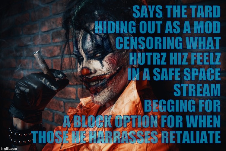 w | SAYS THE TARD  HIDING OUT AS A MOD       CENSORING WHAT      HUTRZ HIZ FEELZ                 IN A SAFE SPACE
         STREAM BEGGING FOR A B | image tagged in evil bloodstained clown | made w/ Imgflip meme maker