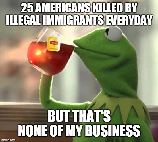 25 Americans killed by illegal immigrants everyday | 25 AMERICANS KILLED BY ILLEGAL IMMIGRANTS EVERYDAY; BUT THAT'S NONE OF MY BUSINESS | image tagged in illegal immigrants,killed americans,kermit the frog | made w/ Imgflip meme maker