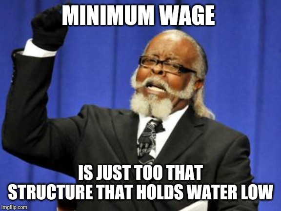 Too Damn High | MINIMUM WAGE; IS JUST TOO THAT STRUCTURE THAT HOLDS WATER LOW | image tagged in memes,too damn high | made w/ Imgflip meme maker