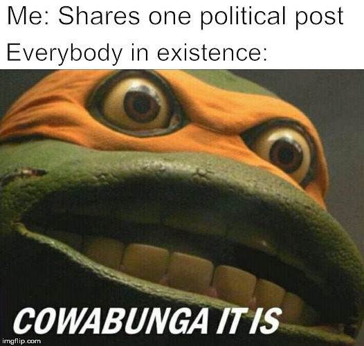 Cowabunga it is | Me: Shares one political post; Everybody in existence: | image tagged in memes,funny memes,dank memes,so true memes,original meme,dank meme | made w/ Imgflip meme maker