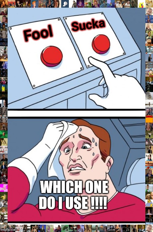 Two Buttons Meme | Sucka; Fool; WHICH ONE DO I USE !!!! | image tagged in memes,two buttons | made w/ Imgflip meme maker