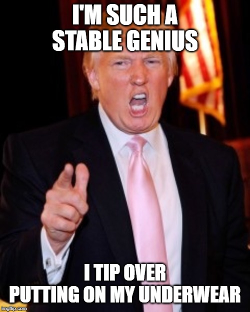 Donald Trump | I'M SUCH A STABLE GENIUS; I TIP OVER PUTTING ON MY UNDERWEAR | image tagged in donald trump | made w/ Imgflip meme maker