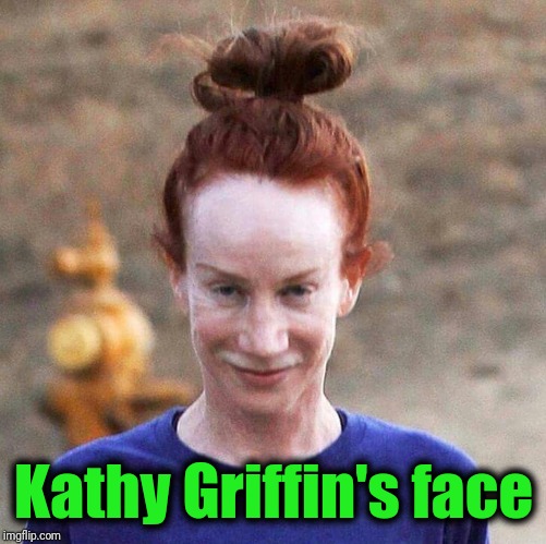 Kathy Griffin | Kathy Griffin's face | image tagged in kathy griffin | made w/ Imgflip meme maker