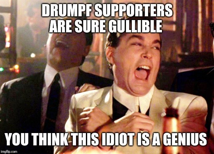 Good Fellas Hilarious | DRUMPF SUPPORTERS ARE SURE GULLIBLE; YOU THINK THIS IDIOT IS A GENIUS | image tagged in memes,good fellas hilarious | made w/ Imgflip meme maker