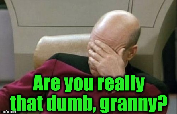 Captain Picard Facepalm Meme | Are you really that dumb, granny? | image tagged in memes,captain picard facepalm | made w/ Imgflip meme maker