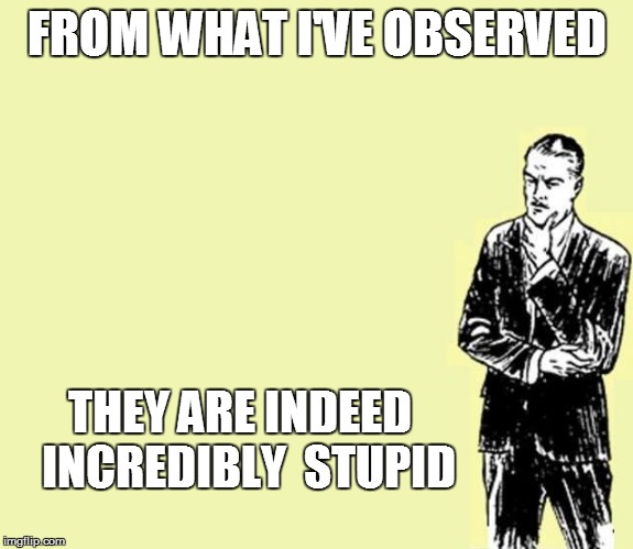 FROM WHAT I'VE OBSERVED THEY ARE INDEED   INCREDIBLY  STUPID | made w/ Imgflip meme maker