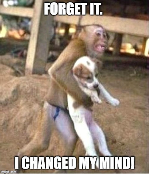 I changed my mind | FORGET IT. I CHANGED MY MIND! | image tagged in monkey,puppy | made w/ Imgflip meme maker