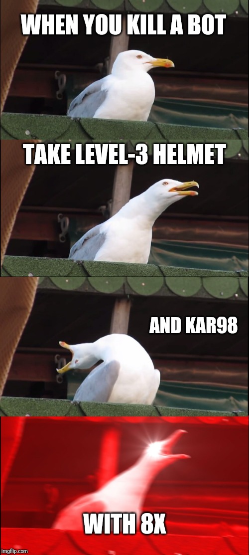 Inhaling Seagull Meme | WHEN YOU KILL A BOT; TAKE LEVEL-3 HELMET; AND KAR98; WITH 8X | image tagged in memes,inhaling seagull | made w/ Imgflip meme maker