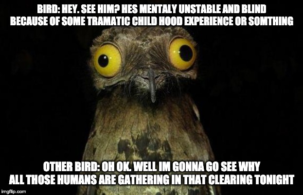 Weird Stuff I Do Potoo Meme | BIRD: HEY. SEE HIM? HES MENTALY UNSTABLE AND BLIND BECAUSE OF SOME TRAMATIC CHILD HOOD EXPERIENCE OR SOMTHING OTHER BIRD: OH OK. WELL IM GON | image tagged in memes,weird stuff i do potoo | made w/ Imgflip meme maker