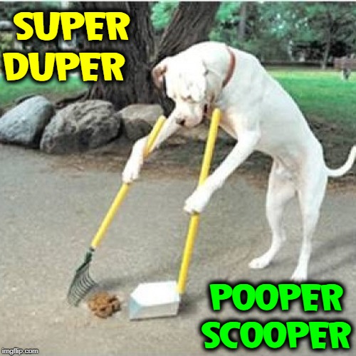 ...and what tricks does your Doggy Doo? | SUPER DUPER; POOPER SCOOPER | image tagged in vince vance,dogs,dog poop,helpful dog,pooper scooper,dog cleaning up after himself | made w/ Imgflip meme maker