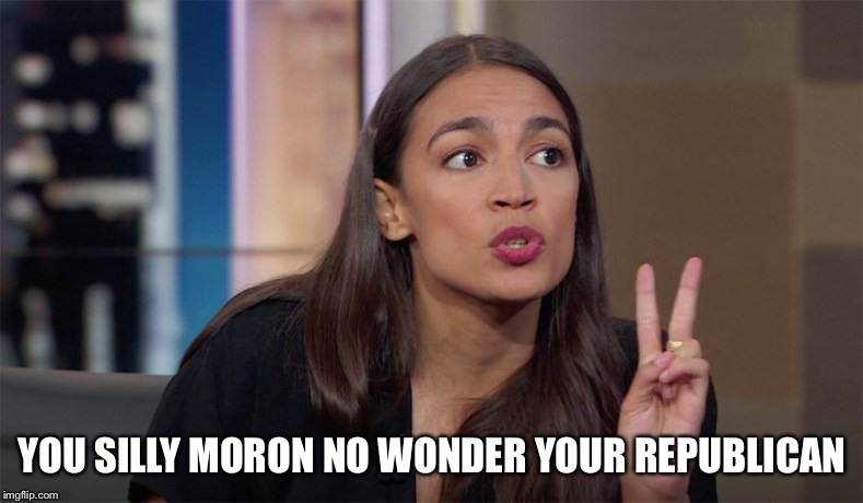 alexandria ocasio-cortez | YOU SILLY MORON NO WONDER YOUR REPUBLICAN | image tagged in alexandria ocasio-cortez | made w/ Imgflip meme maker