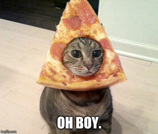pizza cat | OH BOY. | image tagged in pizza cat | made w/ Imgflip meme maker