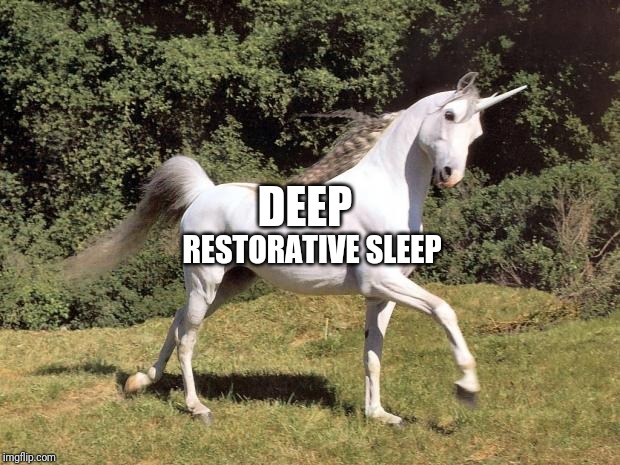 Unicorns | DEEP; RESTORATIVE SLEEP | image tagged in unicorns | made w/ Imgflip meme maker