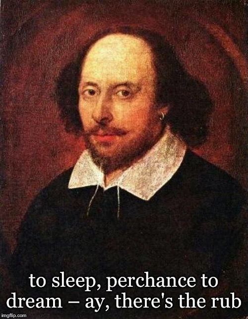 Shakespeare | to sleep, perchance to dream – ay, there's the rub | image tagged in shakespeare | made w/ Imgflip meme maker