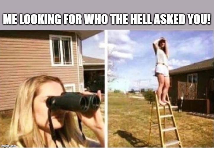who asked you? | ME LOOKING FOR WHO THE HELL ASKED YOU! | image tagged in who asked you,joke | made w/ Imgflip meme maker
