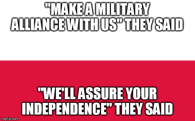 I wonder how many people will get the history reference | "MAKE A MILITARY ALLIANCE WITH US" THEY SAID; "WE'LL ASSURE YOUR INDEPENDENCE" THEY SAID | image tagged in ww2,historical meme,history,wwii,world war 2,useless | made w/ Imgflip meme maker