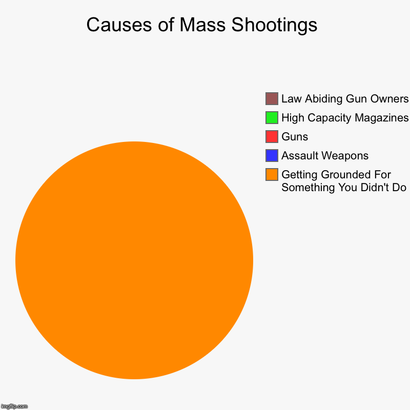 Causes of Mass Shootings | Getting Grounded For Something You Didn't Do, Assault Weapons, Guns, High Capacity Magazines, Law Abiding Gun Own | image tagged in charts,pie charts,mass shootings,grounded,guns,assault weapons | made w/ Imgflip chart maker