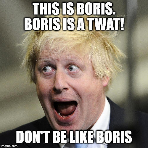 Boris Johnson | THIS IS BORIS.
BORIS IS A TWAT! DON'T BE LIKE BORIS | image tagged in boris johnson | made w/ Imgflip meme maker